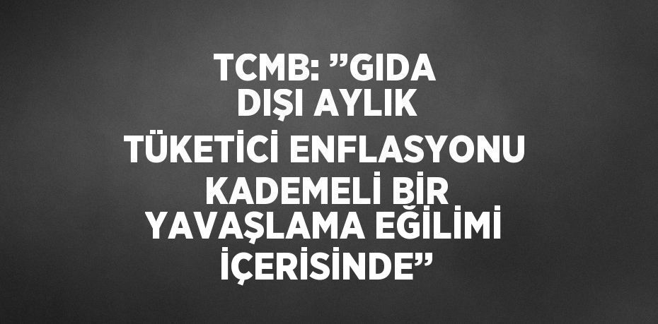 TCMB: ’’GIDA DIŞI AYLIK TÜKETİCİ ENFLASYONU KADEMELİ BİR YAVAŞLAMA EĞİLİMİ İÇERİSİNDE’’