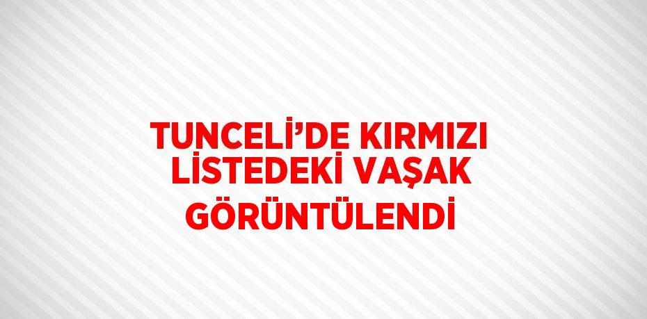 TUNCELİ’DE KIRMIZI LİSTEDEKİ VAŞAK GÖRÜNTÜLENDİ