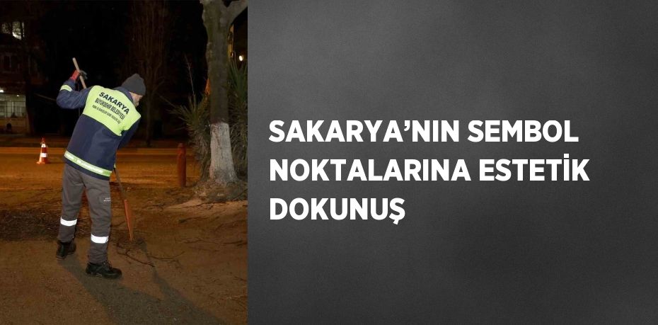 SAKARYA’NIN SEMBOL NOKTALARINA ESTETİK DOKUNUŞ