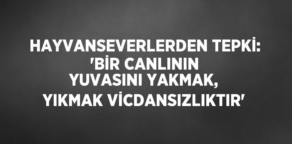 HAYVANSEVERLERDEN TEPKİ: 'BİR CANLININ YUVASINI YAKMAK, YIKMAK VİCDANSIZLIKTIR'