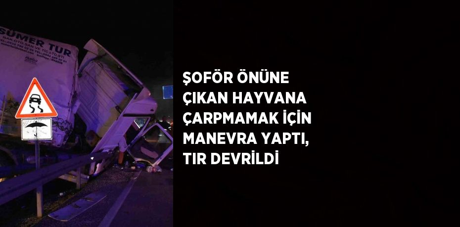 ŞOFÖR ÖNÜNE ÇIKAN HAYVANA ÇARPMAMAK İÇİN MANEVRA YAPTI, TIR DEVRİLDİ