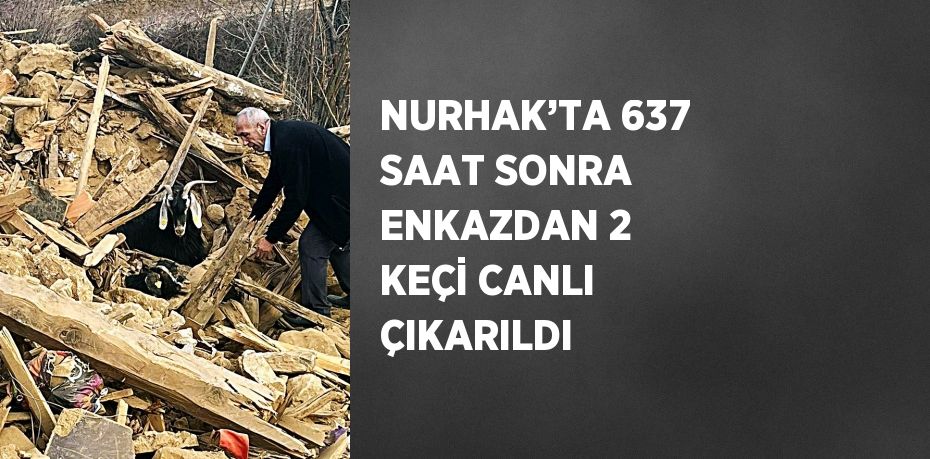 NURHAK’TA 637 SAAT SONRA ENKAZDAN 2 KEÇİ CANLI ÇIKARILDI