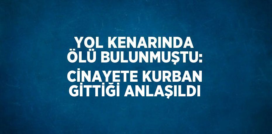 YOL KENARINDA ÖLÜ BULUNMUŞTU: CİNAYETE KURBAN GİTTİĞİ ANLAŞILDI