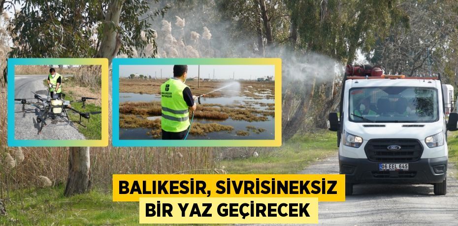 BALIKESİR, SİVRİSİNEKSİZ BİR YAZ GEÇİRECEK