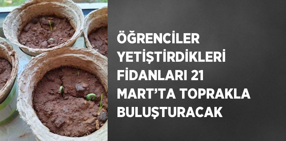 ÖĞRENCİLER YETİŞTİRDİKLERİ FİDANLARI 21 MART’TA TOPRAKLA BULUŞTURACAK