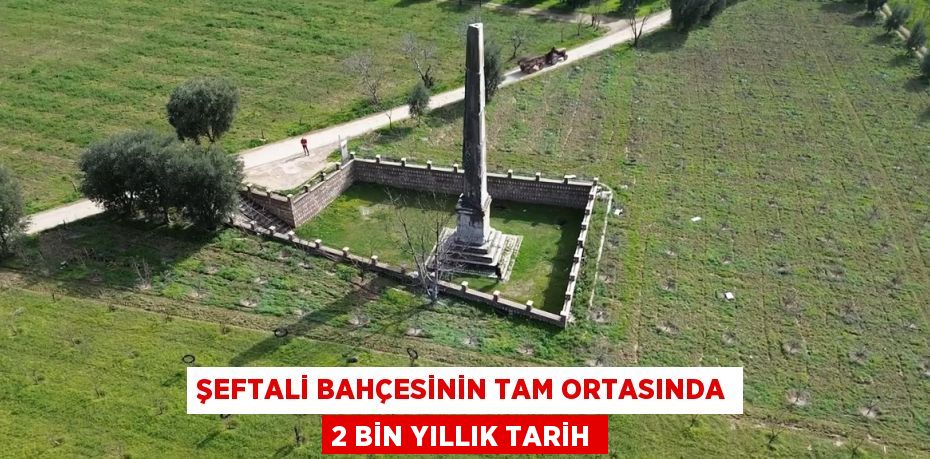 ŞEFTALİ BAHÇESİNİN TAM ORTASINDA 2 BİN YILLIK TARİH