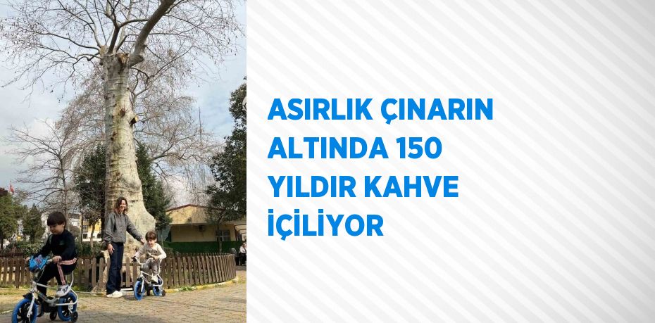 ASIRLIK ÇINARIN ALTINDA 150 YILDIR KAHVE İÇİLİYOR