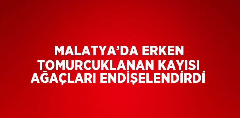 MALATYA’DA ERKEN TOMURCUKLANAN KAYISI AĞAÇLARI ENDİŞELENDİRDİ