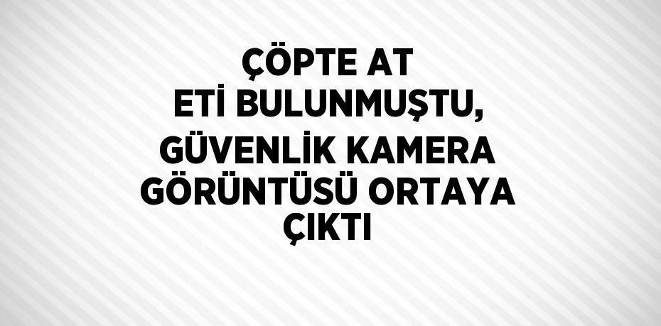 ÇÖPTE AT ETİ BULUNMUŞTU, GÜVENLİK KAMERA GÖRÜNTÜSÜ ORTAYA ÇIKTI