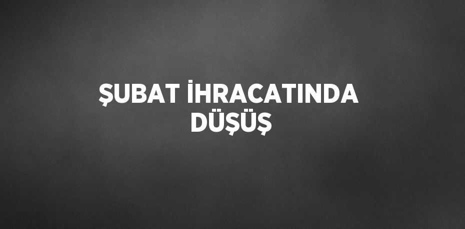 ŞUBAT İHRACATINDA DÜŞÜŞ