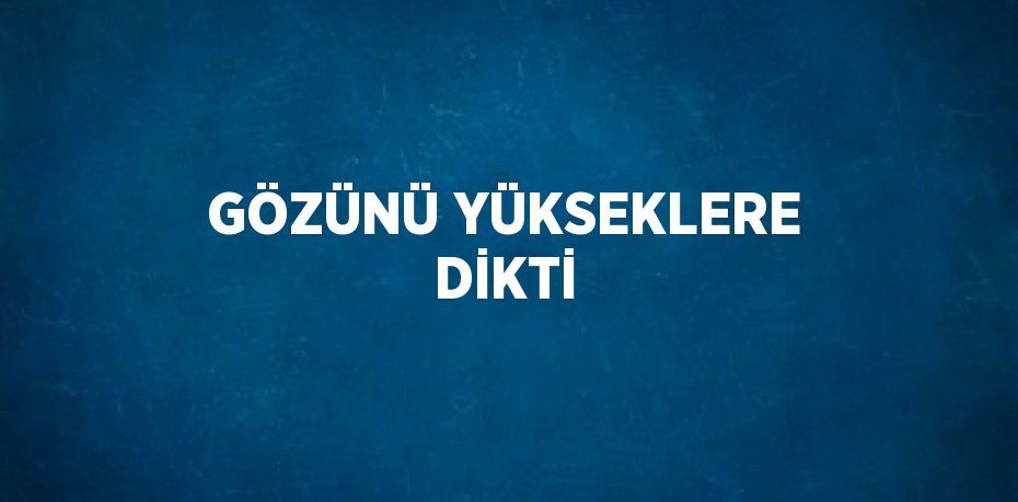 GÖZÜNÜ YÜKSEKLERE DİKTİ