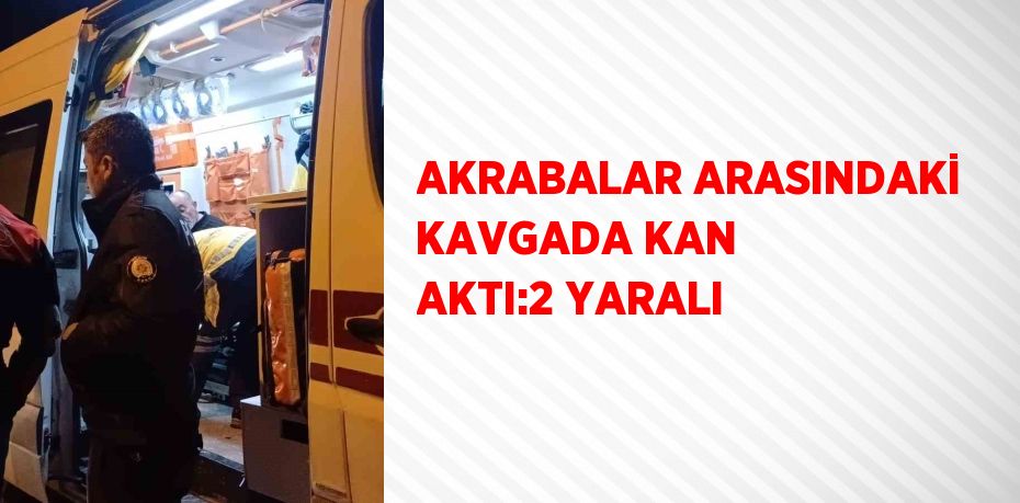 AKRABALAR ARASINDAKİ KAVGADA KAN AKTI:2 YARALI