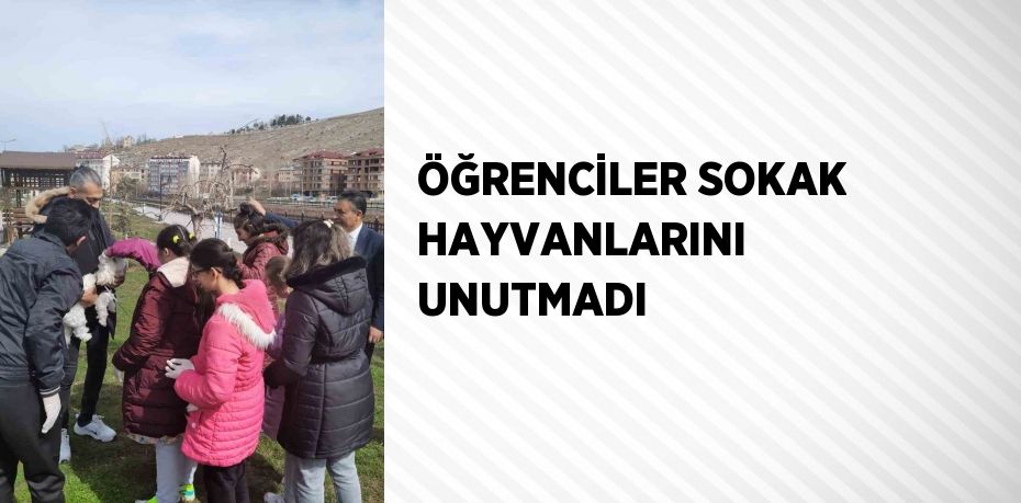 ÖĞRENCİLER SOKAK HAYVANLARINI UNUTMADI