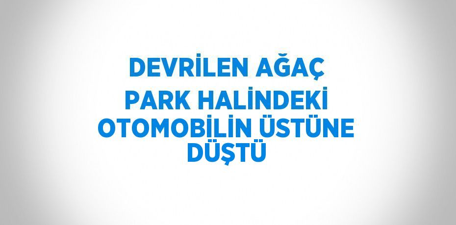 DEVRİLEN AĞAÇ PARK HALİNDEKİ OTOMOBİLİN ÜSTÜNE DÜŞTÜ