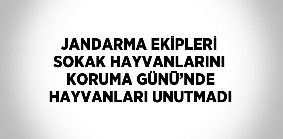 JANDARMA EKİPLERİ SOKAK HAYVANLARINI KORUMA GÜNÜ’NDE HAYVANLARI UNUTMADI