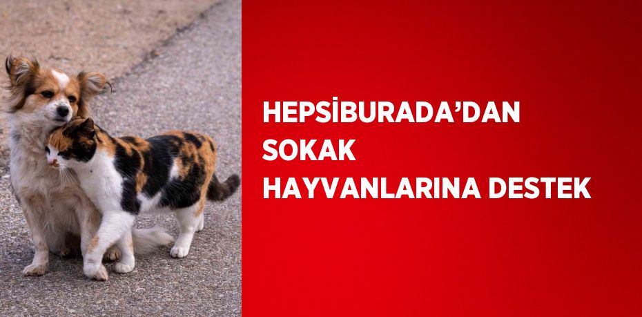 HEPSİBURADA’DAN SOKAK HAYVANLARINA DESTEK