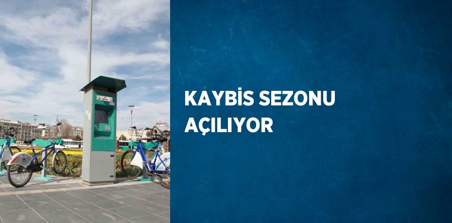 KAYBİS SEZONU AÇILIYOR