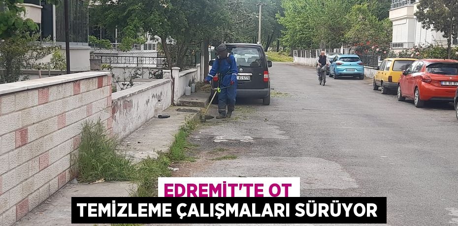 EDREMİT’TE OT TEMİZLEME ÇALIŞMALARI SÜRÜYOR