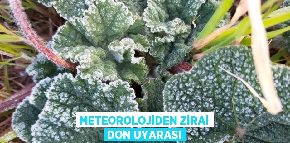 METEOROLOJİDEN ZİRAİ DON UYARASI