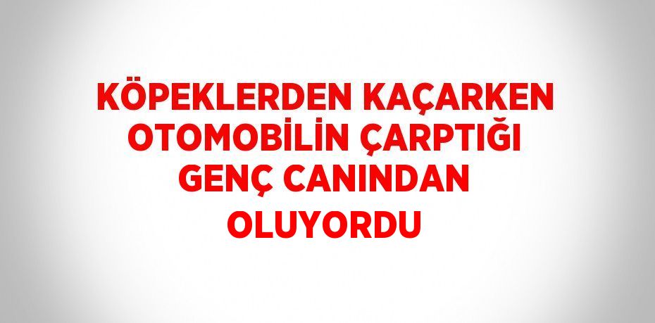 KÖPEKLERDEN KAÇARKEN OTOMOBİLİN ÇARPTIĞI GENÇ CANINDAN OLUYORDU