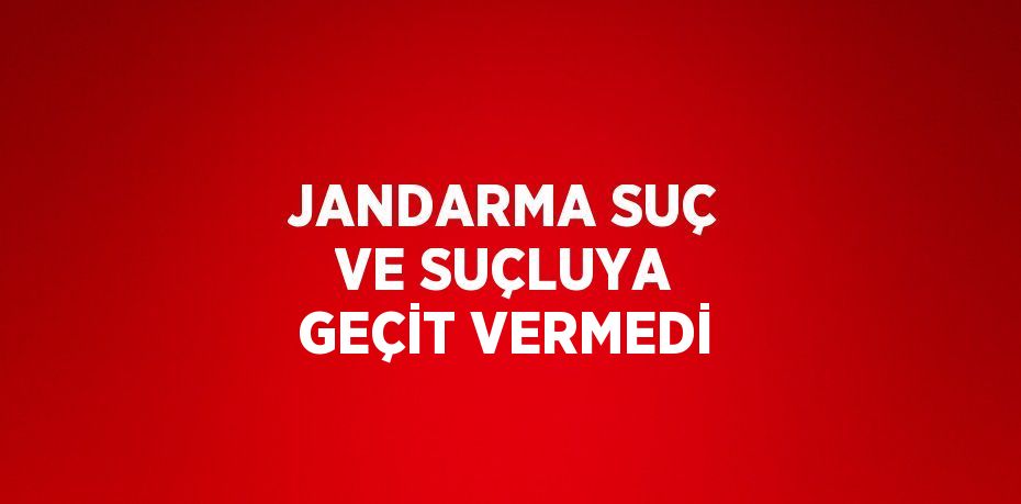 JANDARMA SUÇ VE SUÇLUYA GEÇİT VERMEDİ