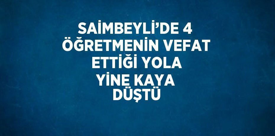 SAİMBEYLİ’DE 4 ÖĞRETMENİN VEFAT ETTİĞİ YOLA YİNE KAYA DÜŞTÜ