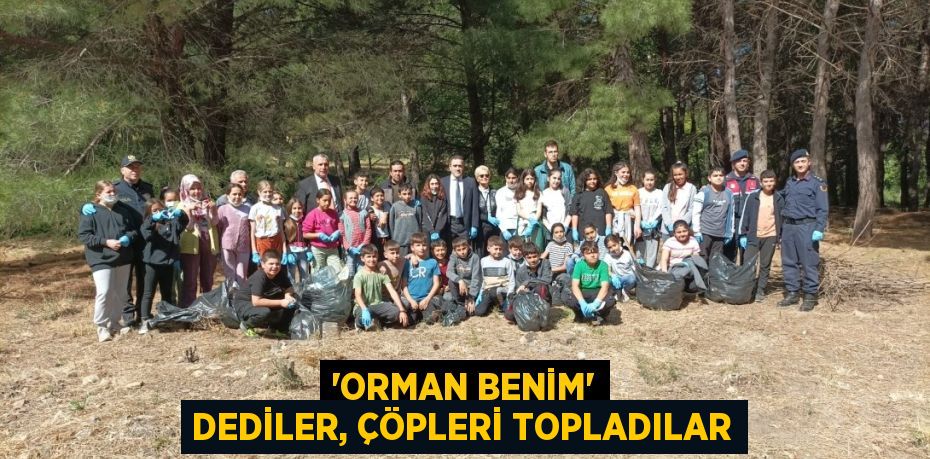 'ORMAN BENİM' DEDİLER, ÇÖPLERİ TOPLADILAR