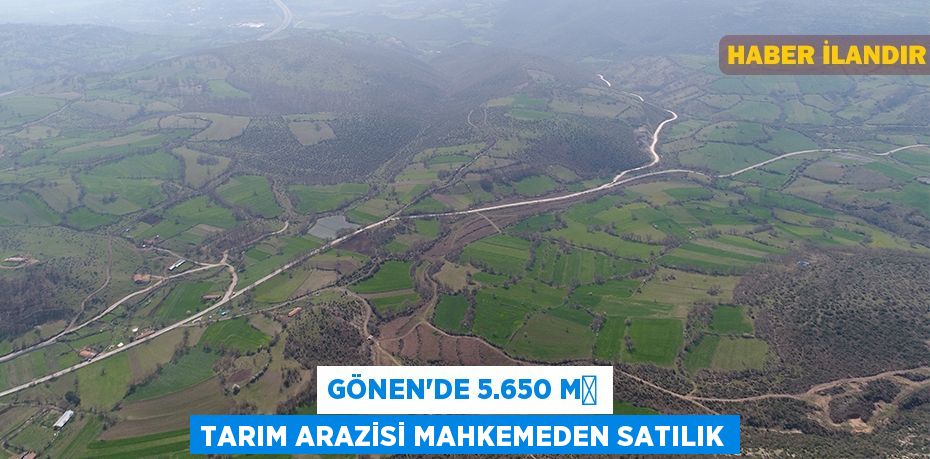 Gönen'de 5.650 m² tarım arazisi mahkemeden satılık