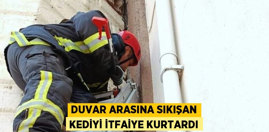 DUVAR ARASINA SIKIŞAN KEDİYİ İTFAİYE KURTARDI