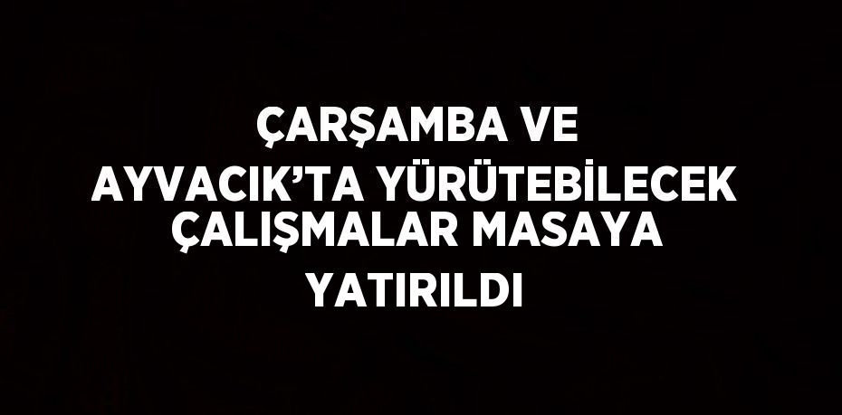 ÇARŞAMBA VE AYVACIK’TA YÜRÜTEBİLECEK ÇALIŞMALAR MASAYA YATIRILDI