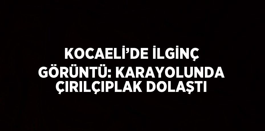 KOCAELİ’DE İLGİNÇ GÖRÜNTÜ: KARAYOLUNDA ÇIRILÇIPLAK DOLAŞTI