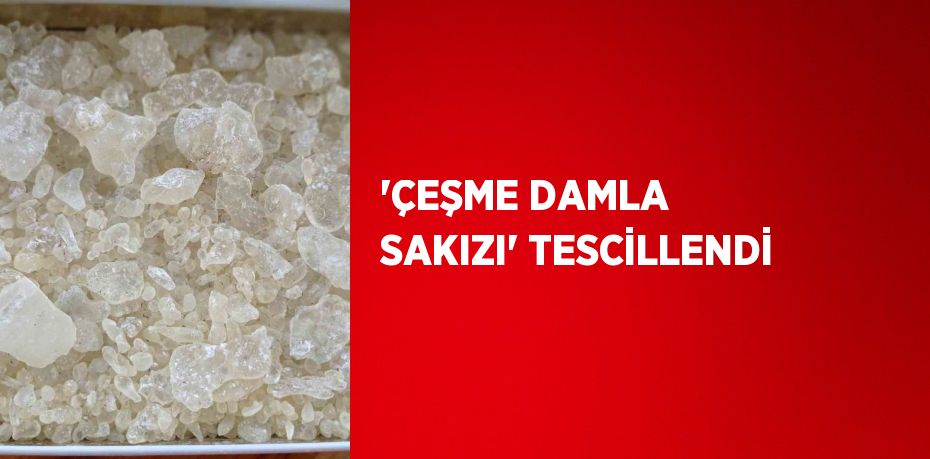 'ÇEŞME DAMLA SAKIZI' TESCİLLENDİ