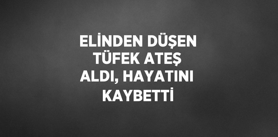 ELİNDEN DÜŞEN TÜFEK ATEŞ ALDI, HAYATINI KAYBETTİ