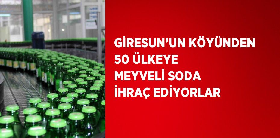 GİRESUN’UN KÖYÜNDEN 50 ÜLKEYE MEYVELİ SODA İHRAÇ EDİYORLAR