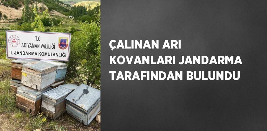 ÇALINAN ARI KOVANLARI JANDARMA TARAFINDAN BULUNDU