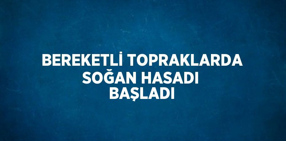 BEREKETLİ TOPRAKLARDA SOĞAN HASADI BAŞLADI