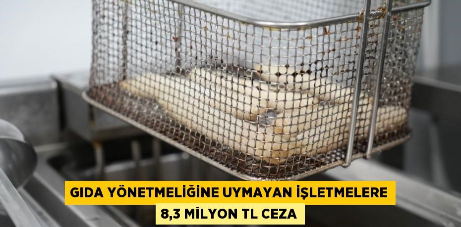 GIDA YÖNETMELİĞİNE UYMAYAN İŞLETMELERE 8,3 MİLYON TL CEZA