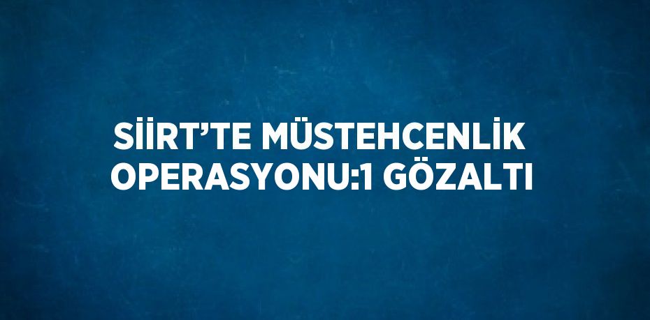 SİİRT’TE MÜSTEHCENLİK OPERASYONU:1 GÖZALTI