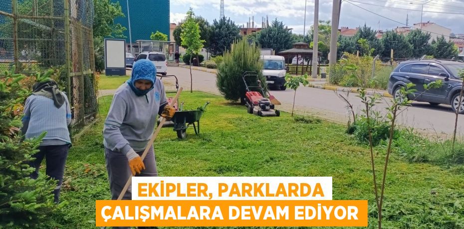 EKİPLER, PARKLARDA ÇALIŞMALARA DEVAM EDİYOR