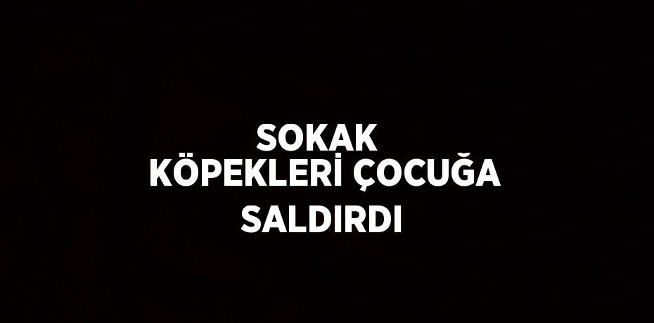 SOKAK  KÖPEKLERİ ÇOCUĞA SALDIRDI