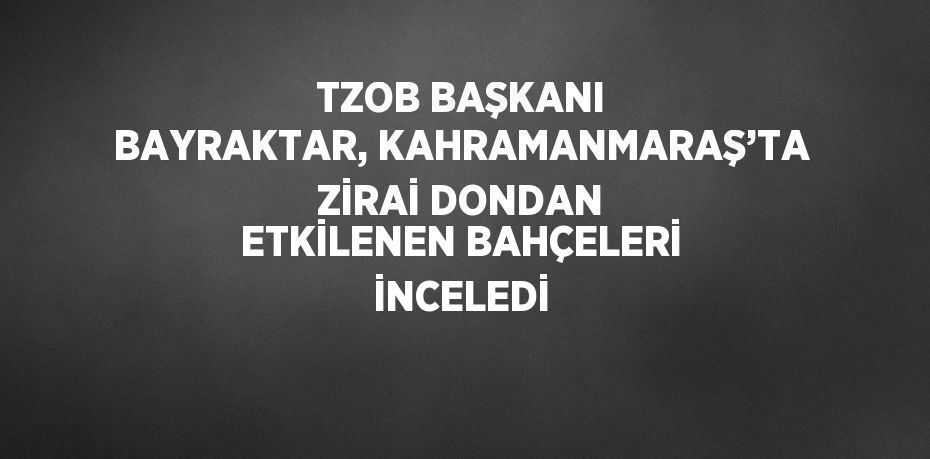 TZOB BAŞKANI BAYRAKTAR, KAHRAMANMARAŞ’TA ZİRAİ DONDAN ETKİLENEN BAHÇELERİ İNCELEDİ