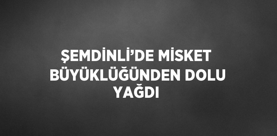 ŞEMDİNLİ’DE MİSKET BÜYÜKLÜĞÜNDEN DOLU YAĞDI