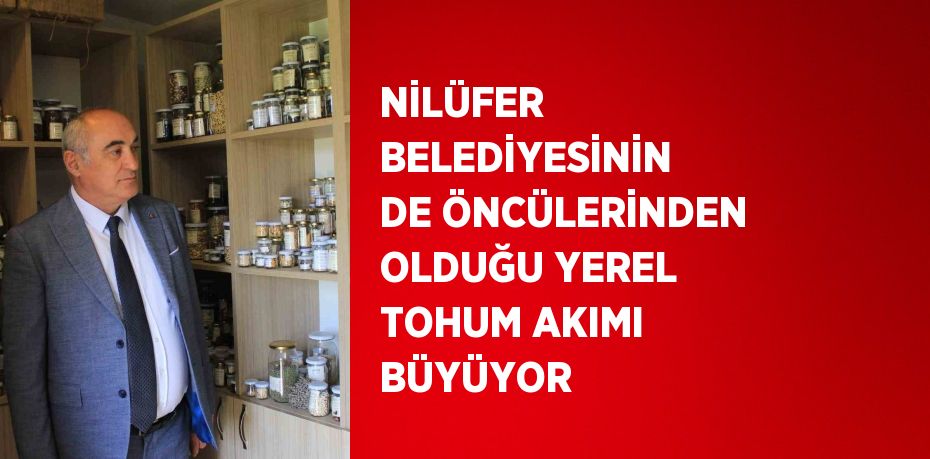 NİLÜFER BELEDİYESİNİN DE ÖNCÜLERİNDEN OLDUĞU YEREL TOHUM AKIMI BÜYÜYOR