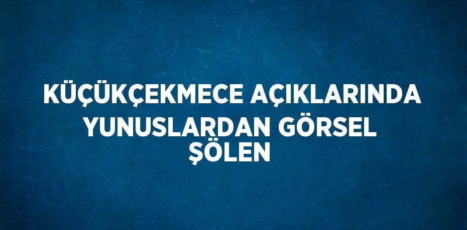 KÜÇÜKÇEKMECE AÇIKLARINDA YUNUSLARDAN GÖRSEL ŞÖLEN