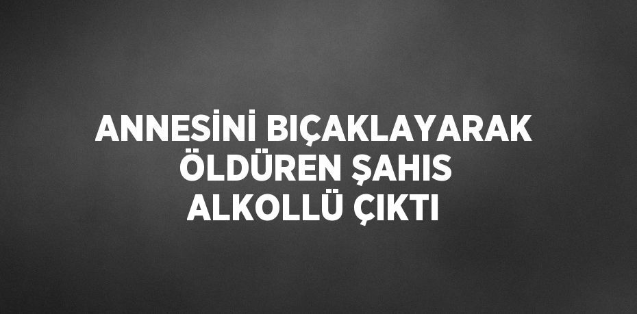 ANNESİNİ BIÇAKLAYARAK ÖLDÜREN ŞAHIS ALKOLLÜ ÇIKTI