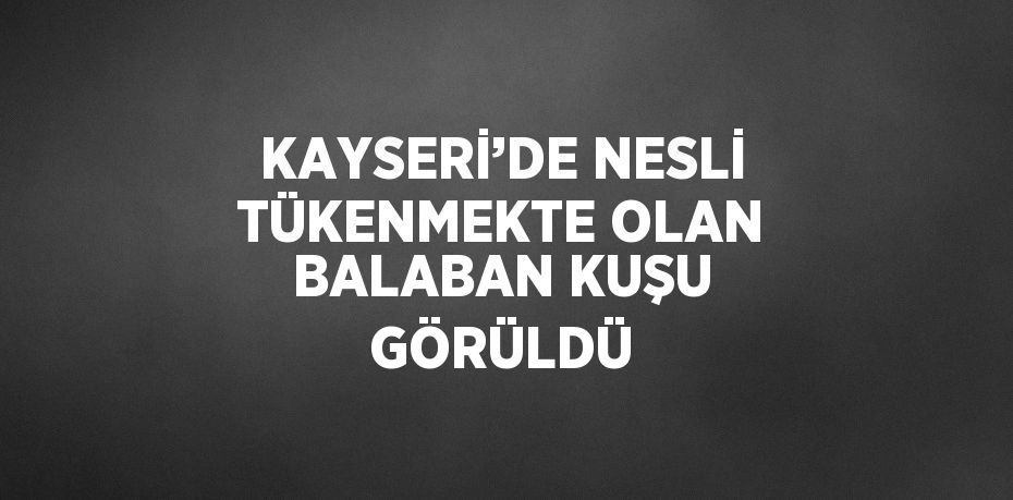 KAYSERİ’DE NESLİ TÜKENMEKTE OLAN BALABAN KUŞU GÖRÜLDÜ
