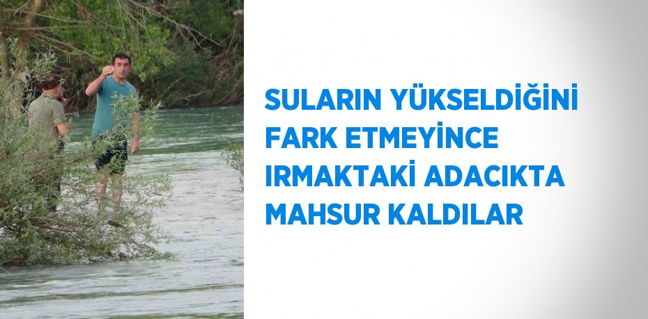 SULARIN YÜKSELDİĞİNİ FARK ETMEYİNCE IRMAKTAKİ ADACIKTA MAHSUR KALDILAR