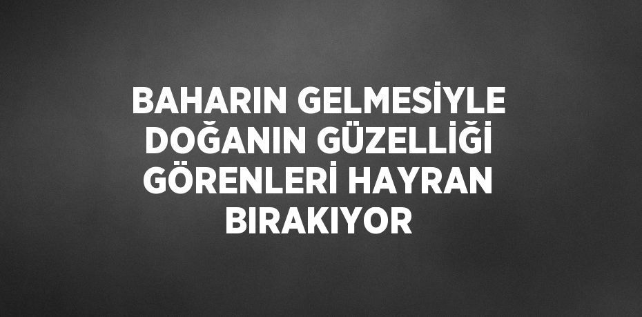 BAHARIN GELMESİYLE DOĞANIN GÜZELLİĞİ GÖRENLERİ HAYRAN BIRAKIYOR