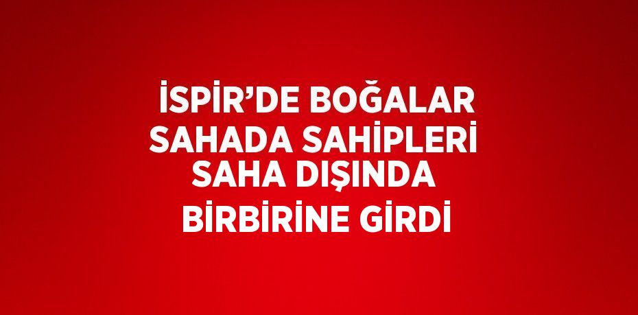İSPİR’DE BOĞALAR SAHADA SAHİPLERİ SAHA DIŞINDA BİRBİRİNE GİRDİ