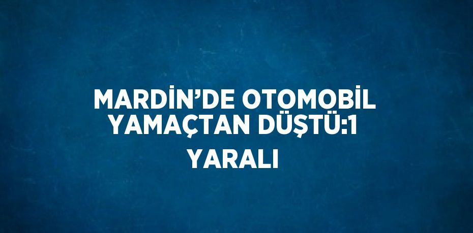 MARDİN’DE OTOMOBİL YAMAÇTAN DÜŞTÜ:1 YARALI